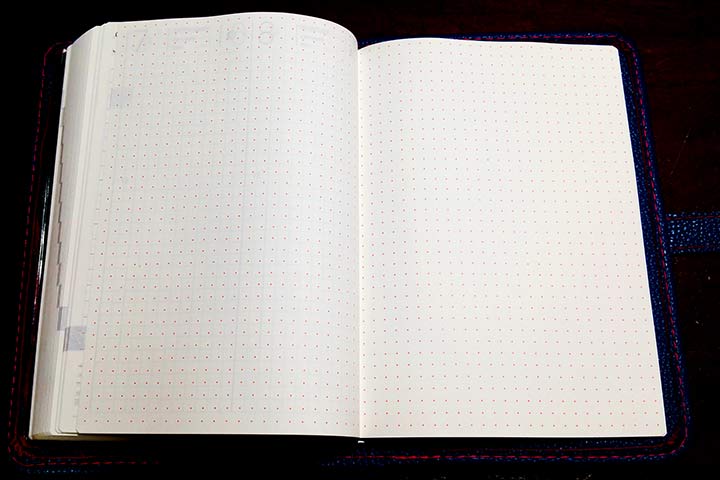 Hobonichi notes pages.